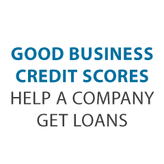 credit lines versus business loans