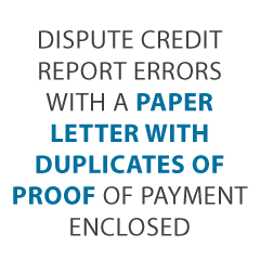business credit report Credit Suite