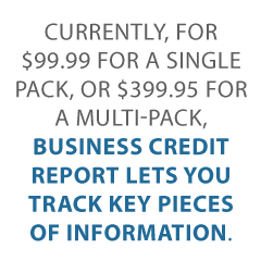 Business credit report Credit Suite