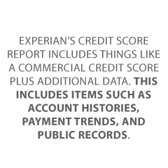 good business credit score Credit Suite