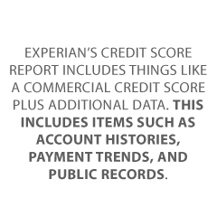 good business credit score Credit Suite