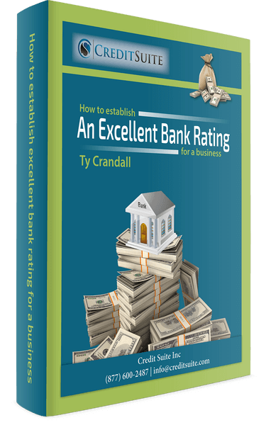 [Legacy] Ebook LP \u2013 Bank Credit Guide - Credit Suite