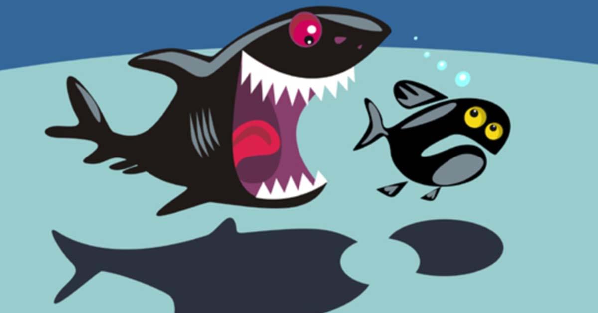 Creditors and Predators: 10 Ways to Avoid Falling Prey to Predatory Lenders, and 6 Questions to Ask Before You Jump In