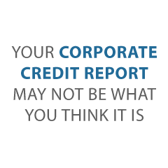 corporate credit report Credit Suite2 - Real Corporate Credit Report Review