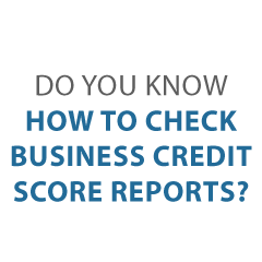 How to Check Biz Credit Score Credit Suite