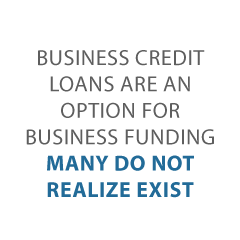 biz credit loans