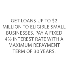 VA Small Business Loan Credit Suite info on VA loans