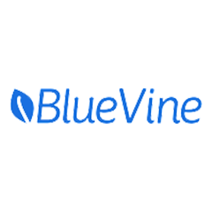 BlueVine - How to Open Separate Business Bank Accounts Even with a Bad ChexSystems Report