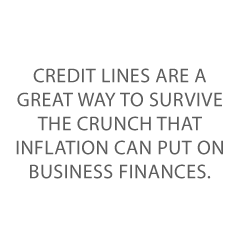 credit lines Credit Suite2 - Using Credit Lines to Ease the Impact of Inflation