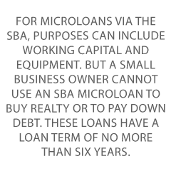 Microloans for Small Businesses Credit Suite