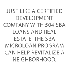Microloans for Small Businesses Credit Suite