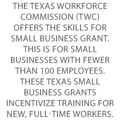 Small Business Loans in Texas Credit Suite