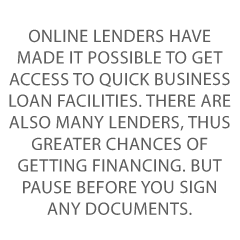 Online Business Lending Credit Suite