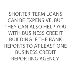LLC Startup Loan Credit Suite