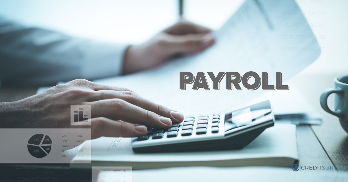 Payroll Loans for Small Business Credit Suite