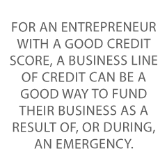 Emergency Business Loan Credit Suite